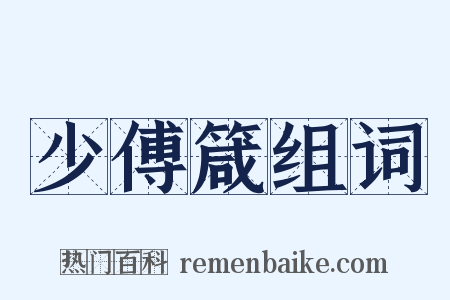 少傅箴组词是什么意思的图片